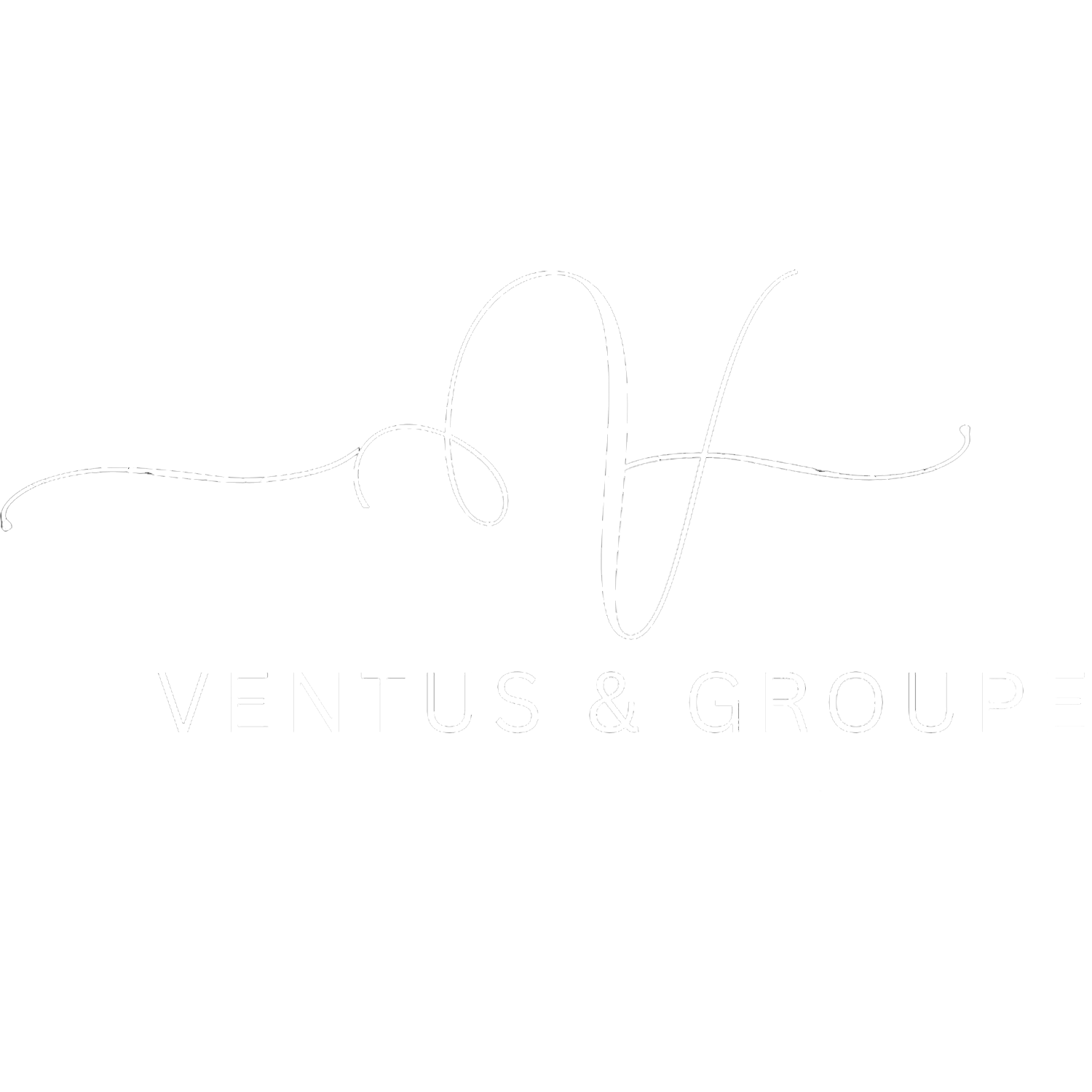 Ventus-groupe.com